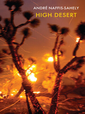 cover image of High Desert
